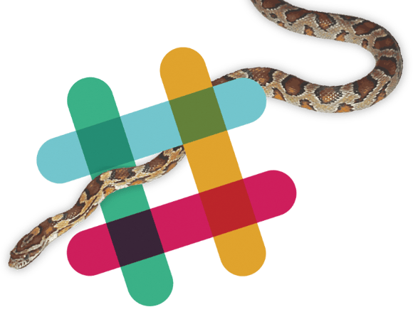 slack-snake