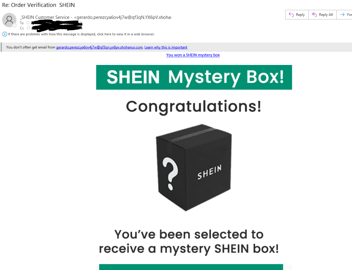 Shein scam top