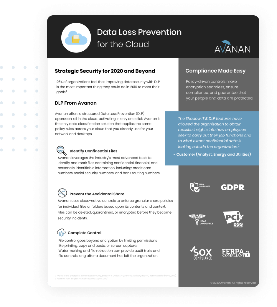 data-loss-prevention-brief