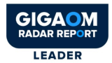 gigaom 1