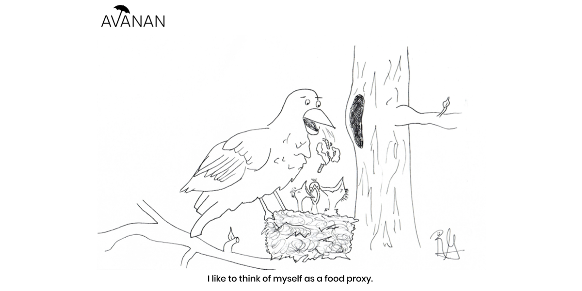 Avian Redirect